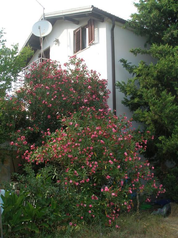 Apartment Lana ปริฟลากา ภายนอก รูปภาพ